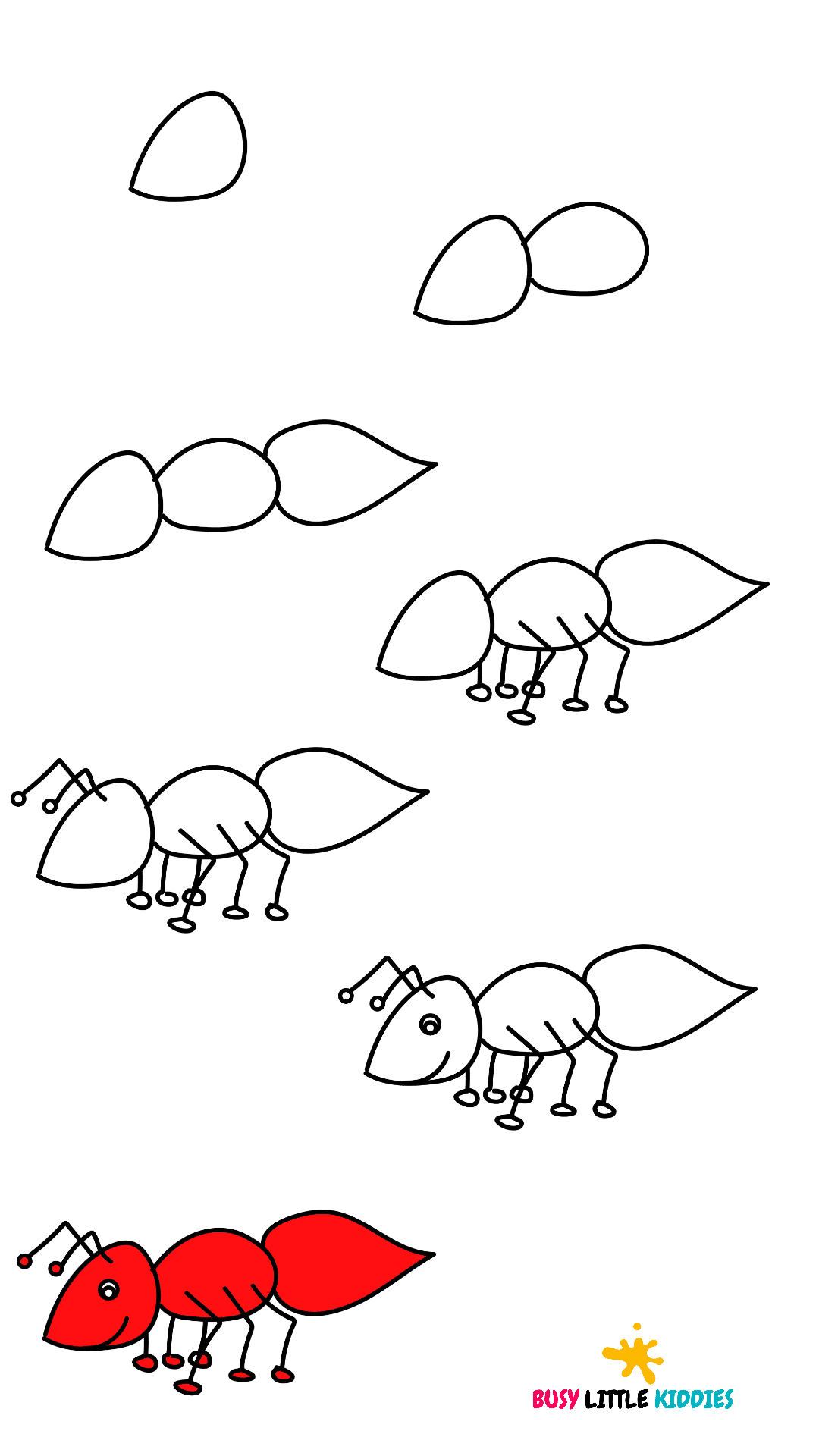 How To Draw An Ant - Step By Step