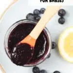 Blueberry Puree for drinks babies 3 ingredient no sugar BLW busylittlekiddies