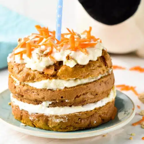 This Carrot Cake for Dogs is an easy, healthy dog cake recipe perfect to celebrate your dog's birthday. It's easy to make in one bowl and packed with nutrients that are good for your dog's skin and body.
