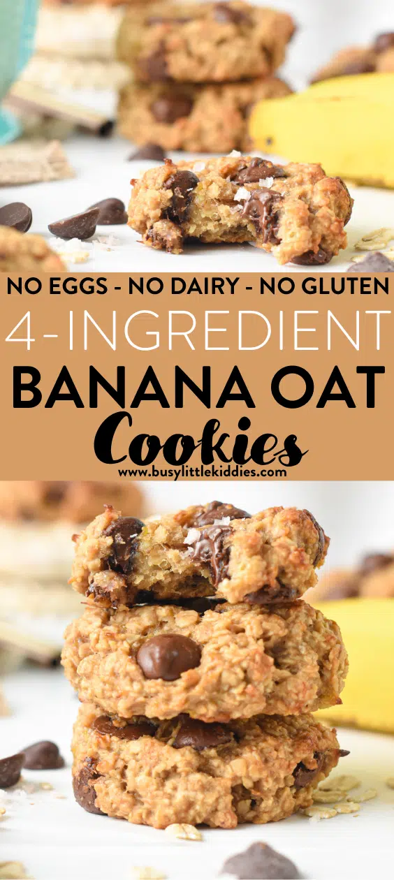 4 ingredient Banana Oatmeal Cookies Vegan Egg Free