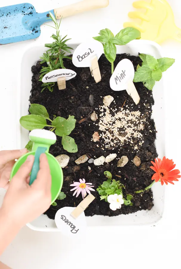 Garden sensory bin for kids