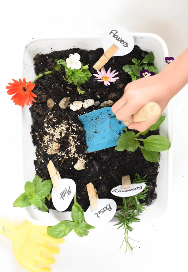 Herb and flower sensory bin