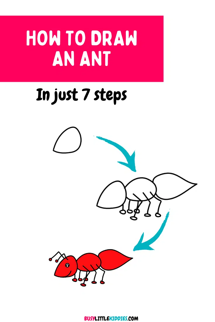 How to draw an ant