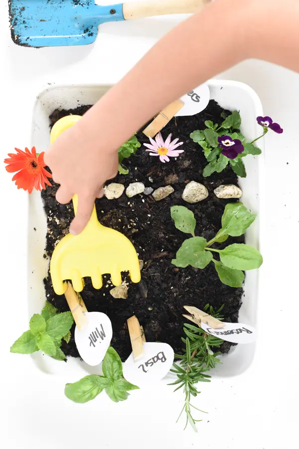 How to make garden sensory bin