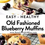 Old Fashioned Blueberry Muffins