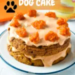 This Pumpkin Dog Cake Recipe is an easy one bowl cake for dogs to celebrate fall. It's packed with homemade pumpkin puree, peanut butter and oats for an healthy treat for your furry friend.
