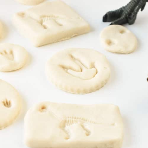 Salt dough dinosaur fossils DIY