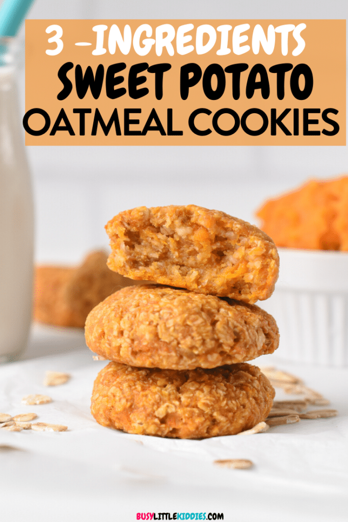 Sweet Potato Oatmeal Cookies (No Flour, 3 Ingredients) - Busy Little ...